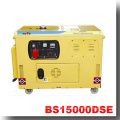 BISON China Zhejiang 3KW Elektrischer Start Luftgekühlter Generator Diesel 3KVA mit Preis